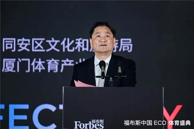 的国际赛事